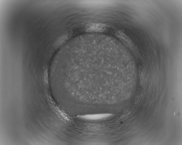 X0000067850729200605041714