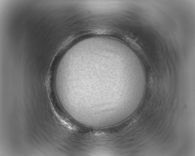 X0000067850730200605041714