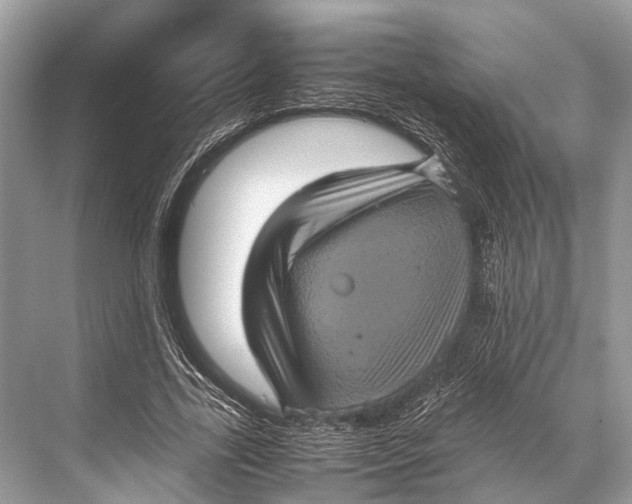 X0000067850731200605041714