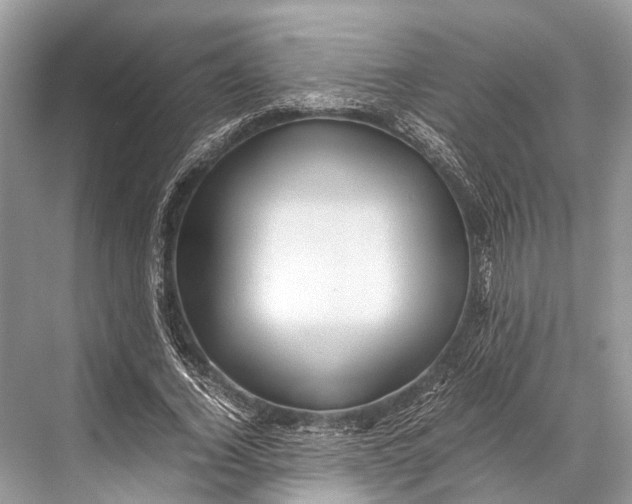 X0000067850732200605041715