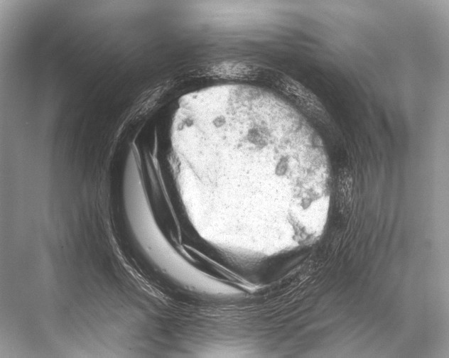 X0000067850734200605041715