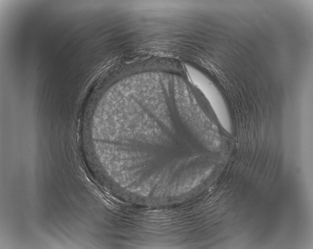 X0000067850735200605041715