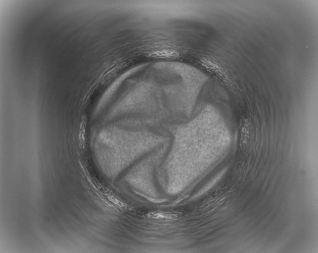 X0000067850739200605041715