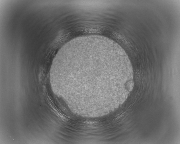 X0000067850741200605041715