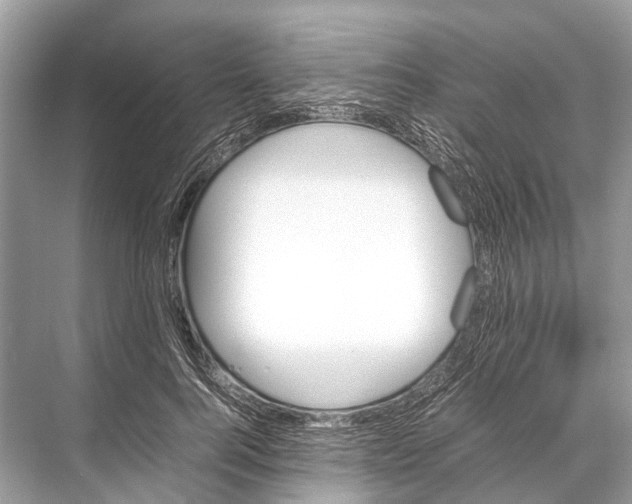 X0000067850744200605041715