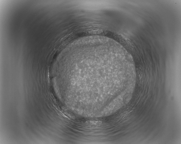 X0000067850745200605041715