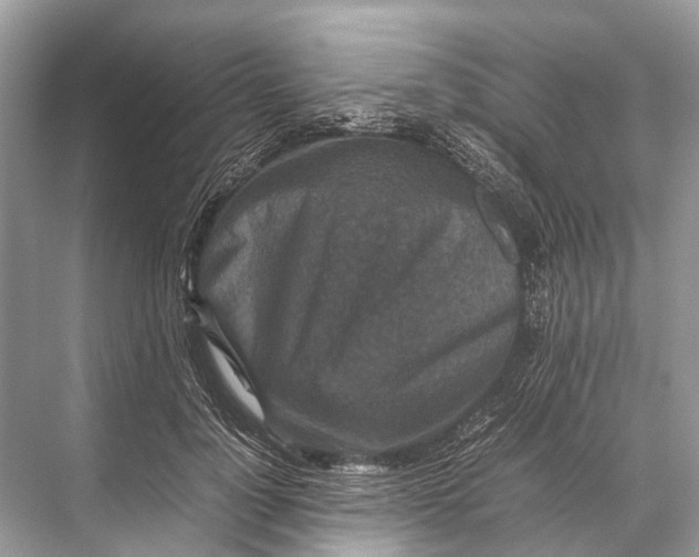 X0000067850748200605041715