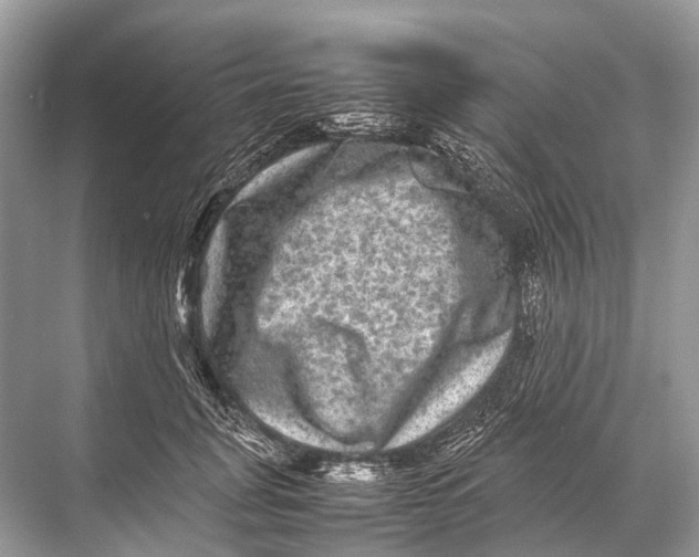 X0000067850751200605041715