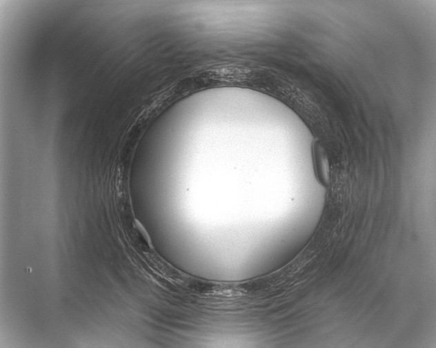 X0000067850752200605041715