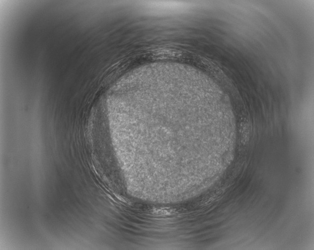 X0000067850753200605041715