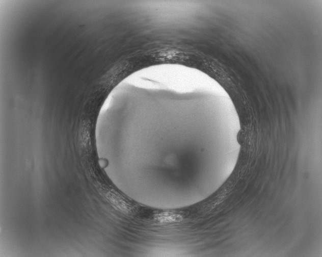 X0000067850754200605041715