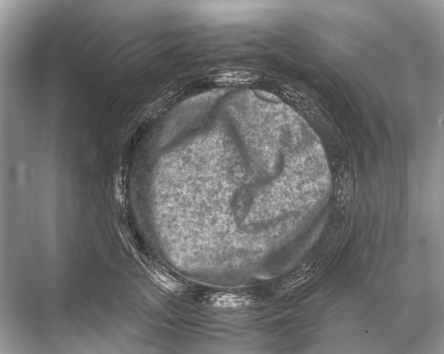 X0000067850755200605041715