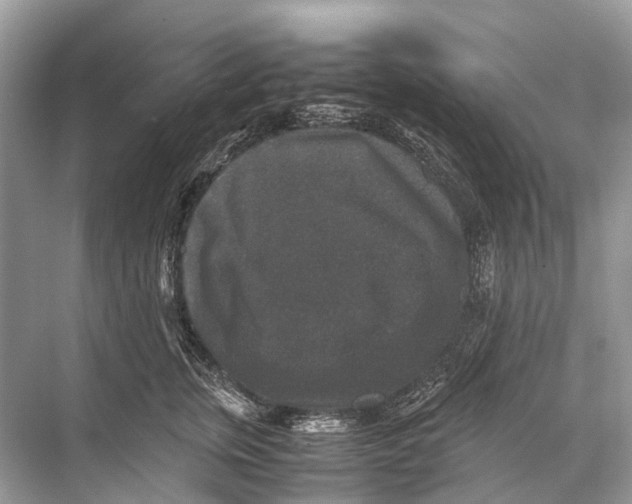 X0000067850759200605041715