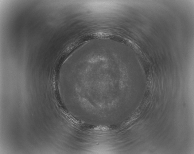 X0000067850762200605041715