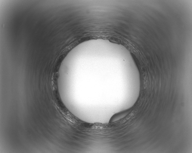 X0000067850764200605041715