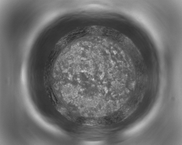 X0000067850765200605041715