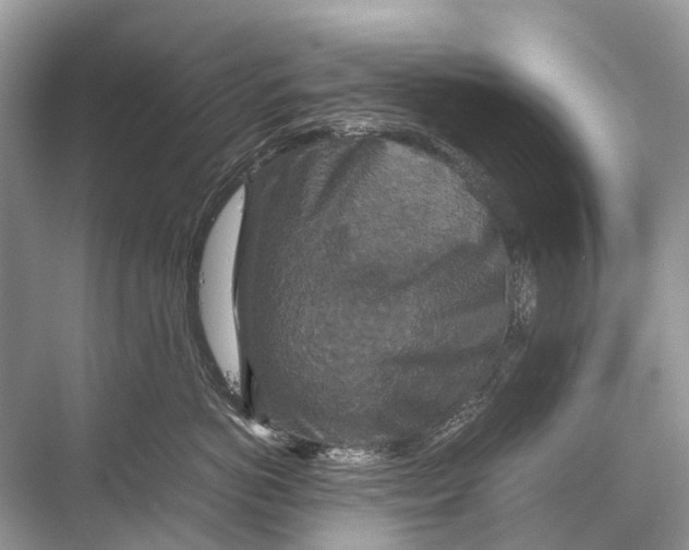 X0000067850766200605041715