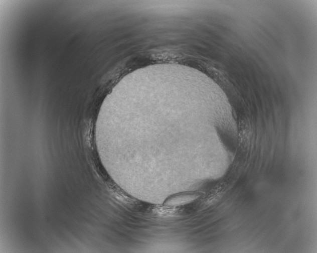 X0000067850767200605041715