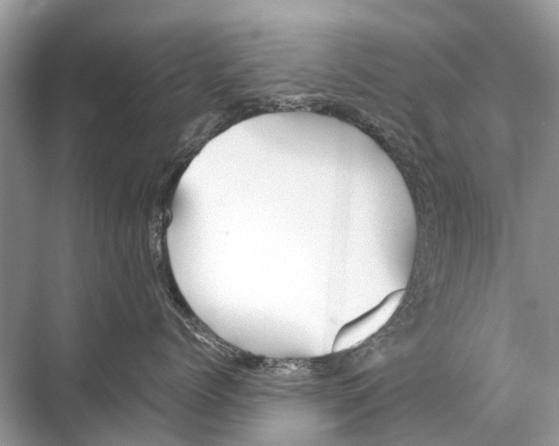 X0000067850768200605041715