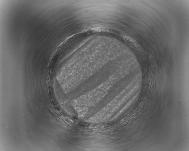 X0000067850776200605041714