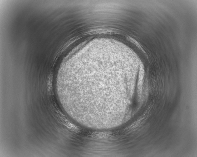 X0000067850778200605041714