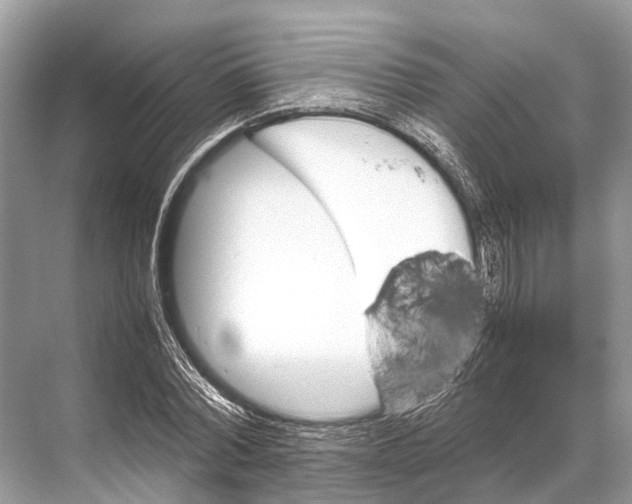 X0000067850780200605041714