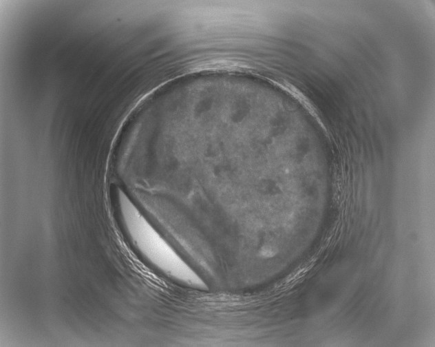 X0000067850783200605041714