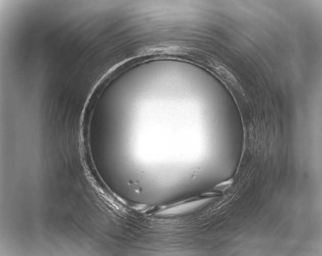 X0000067850784200605041714