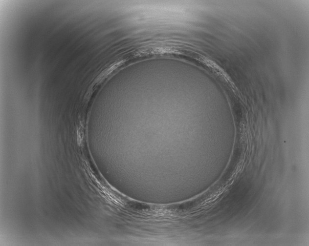 X0000067850785200605041714