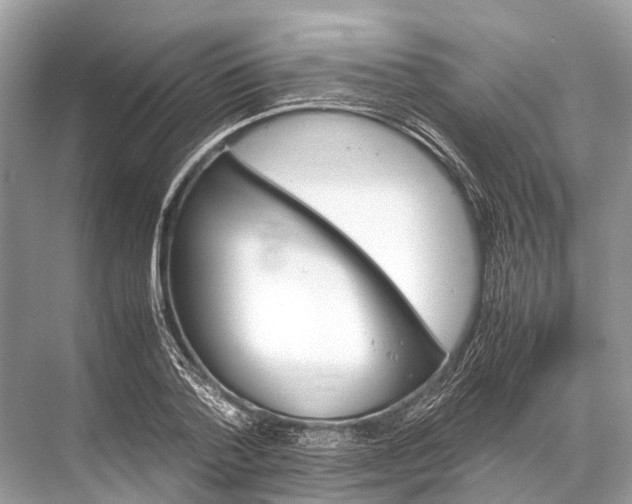 X0000067850788200605041714