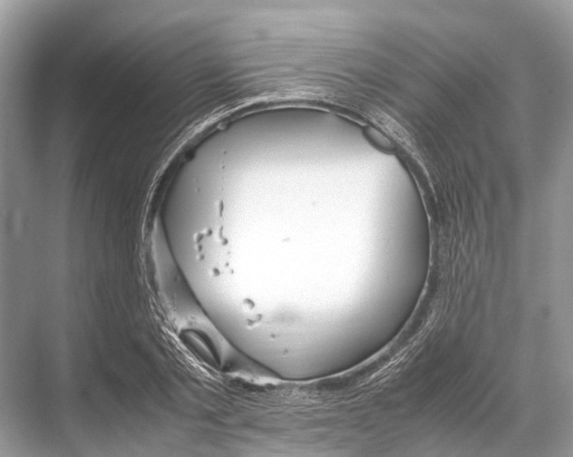 X0000067850789200605041714