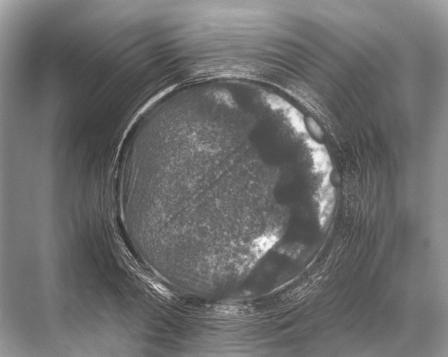 X0000067850790200605041714