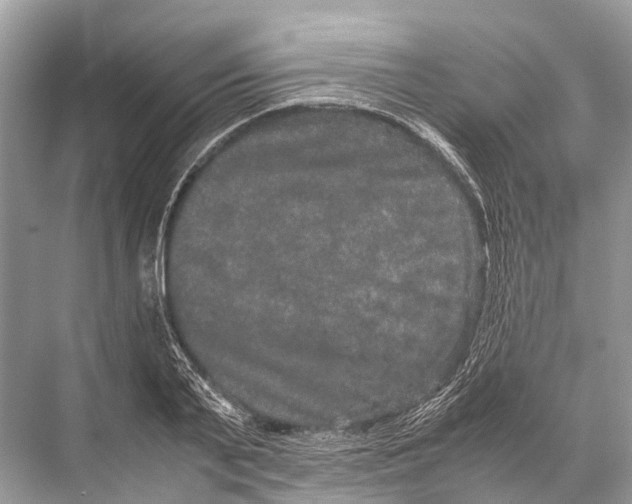 X0000067850791200605041714