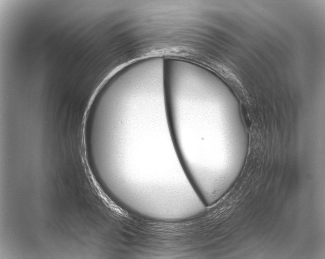 X0000067850792200605041714