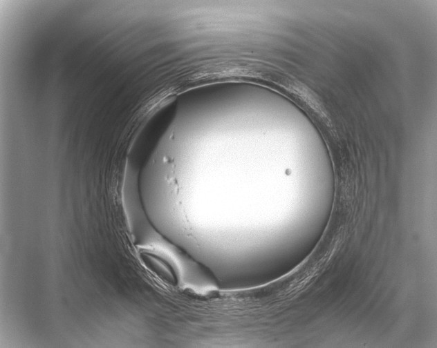 X0000067850793200605041714