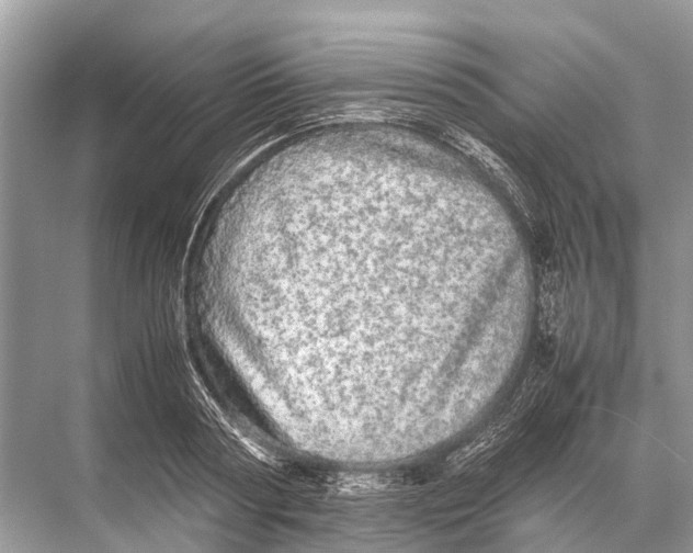 X0000067850794200605041714