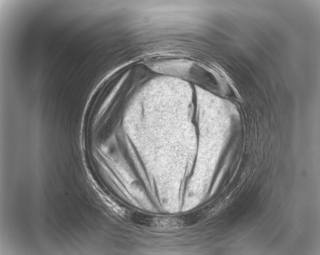 X0000067850795200605041714