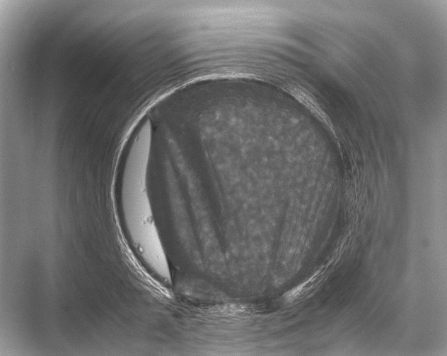 X0000067850797200605041714