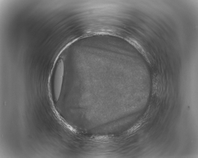 X0000067850798200605041714