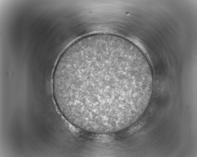 X0000067850807200605041714