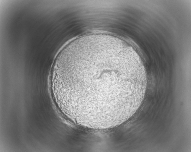 X0000067850814200605041714