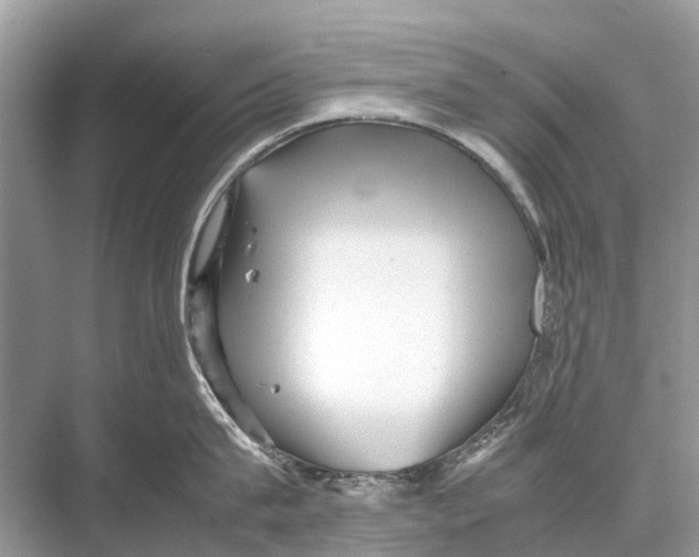 X0000067850815200605041714