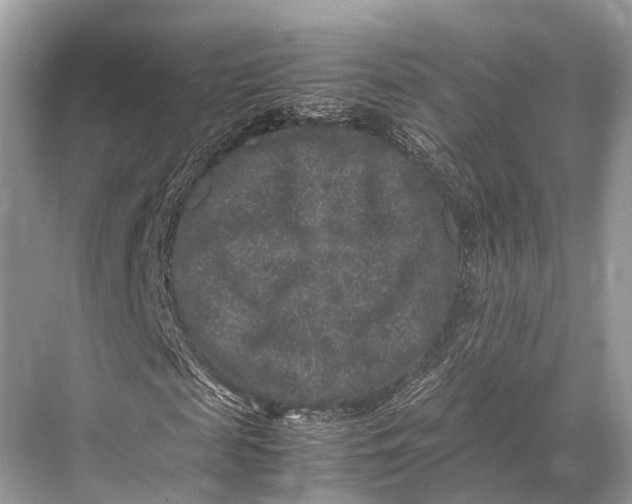 X0000067850817200605041713