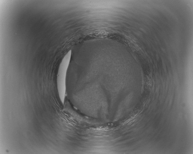 X0000067850818200605041713