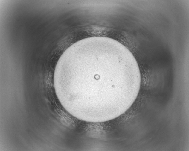 X0000067850820200605041713