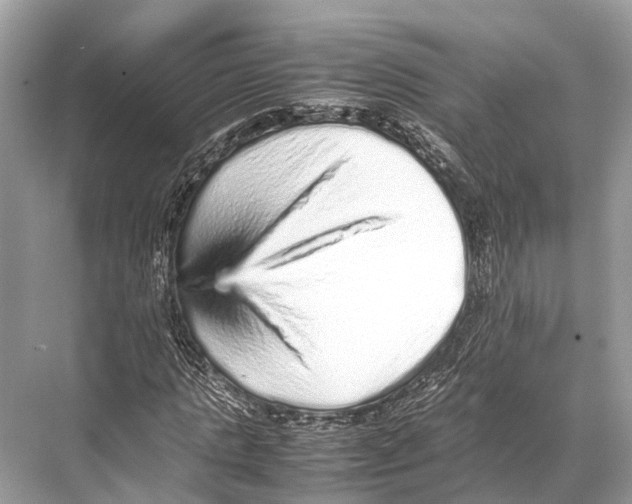 X0000067850821200605041713