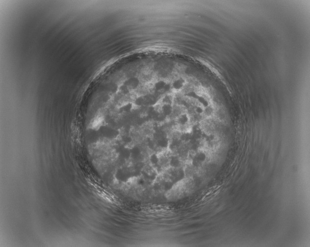 X0000067850823200605041713