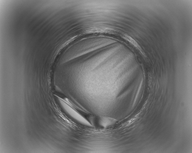 X0000067850826200605041713