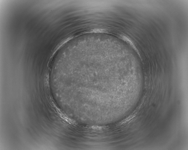 X0000067850827200605041713