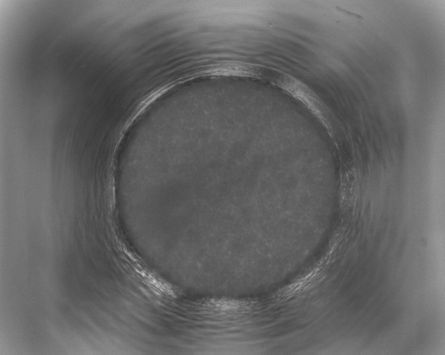 X0000067850829200605041713